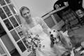 Black and White Photos